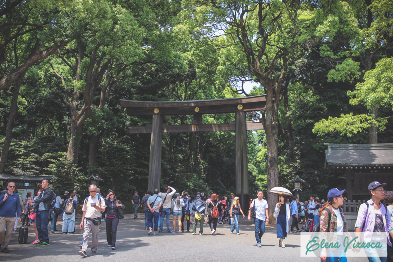 Ingresso al parco Yoyogi