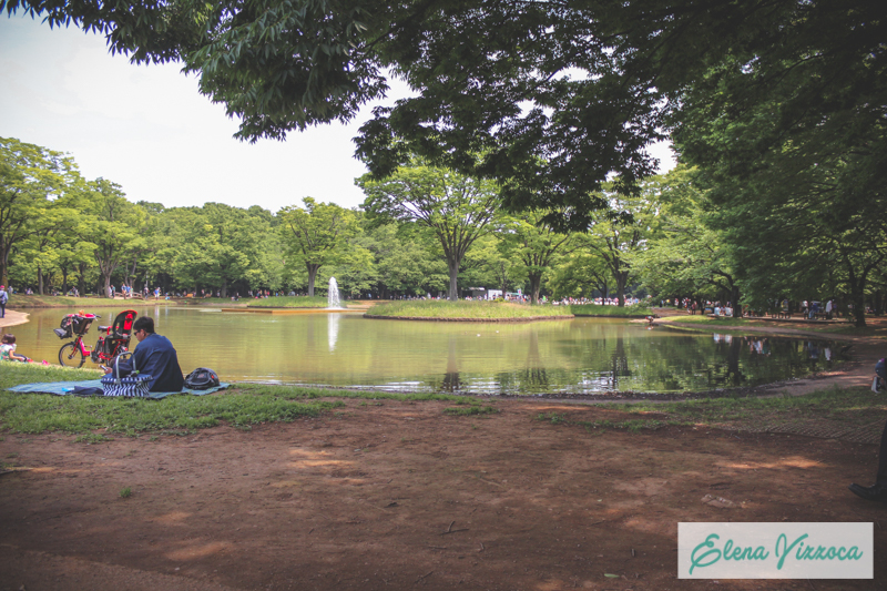 Lago del parco Yoyogi