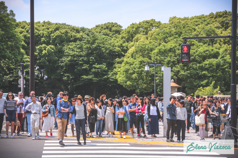 Incrocio con parco Yoyogi