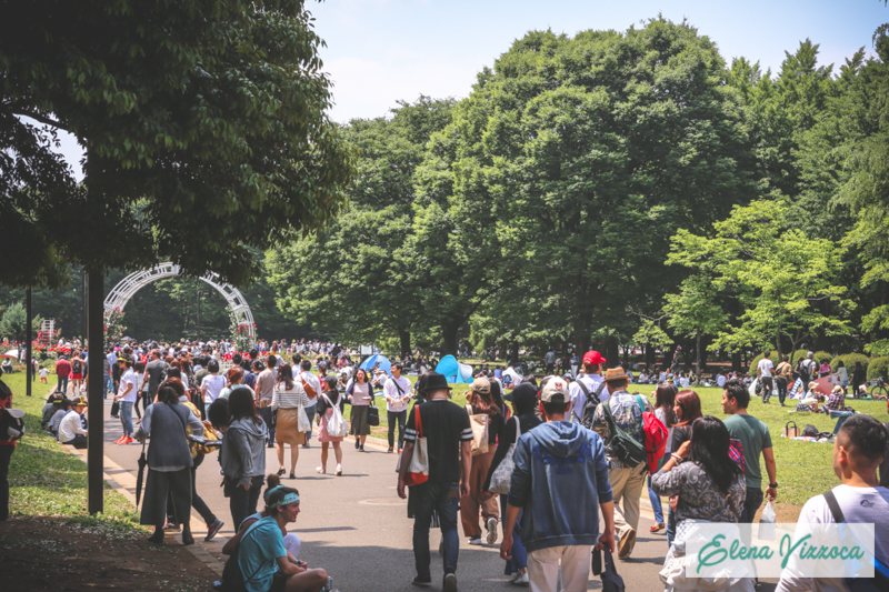Parco Yoyogi