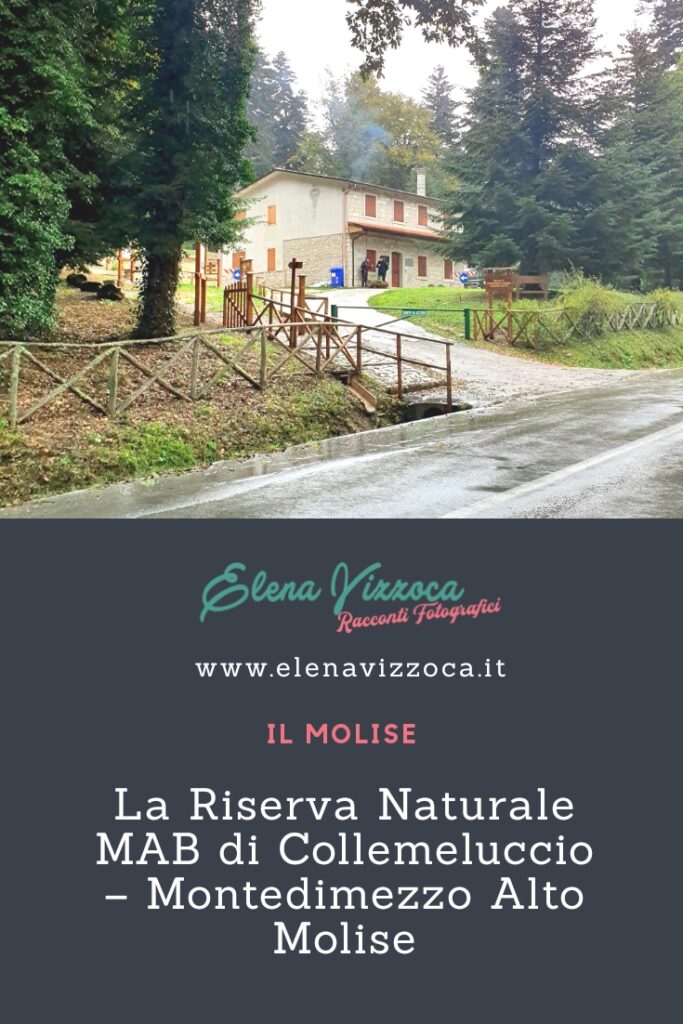 Salva il post su Pinterest - Grafica 1