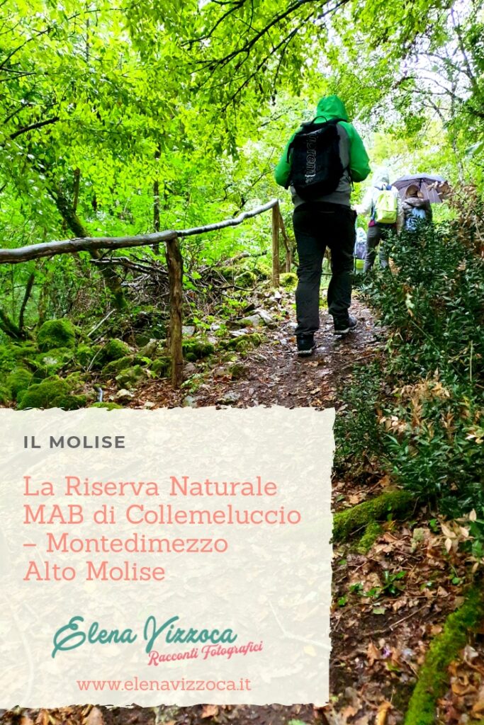 Salva il post su Pinterest - Grafica 2