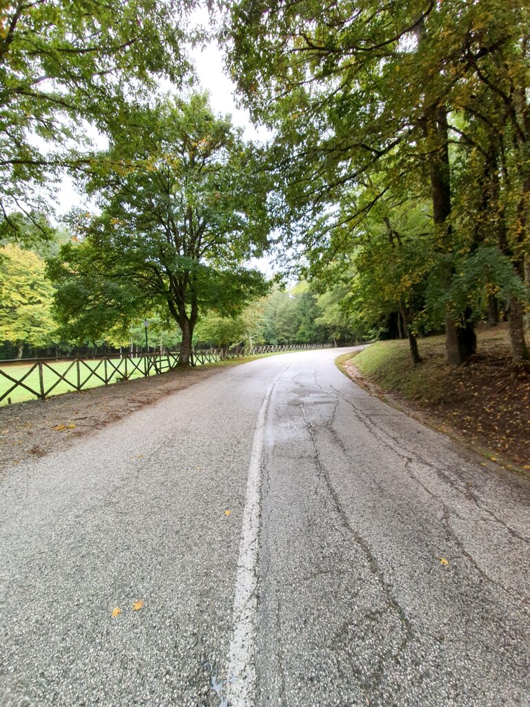Riserva Naturale di Collemeluccio-Montedimezzo