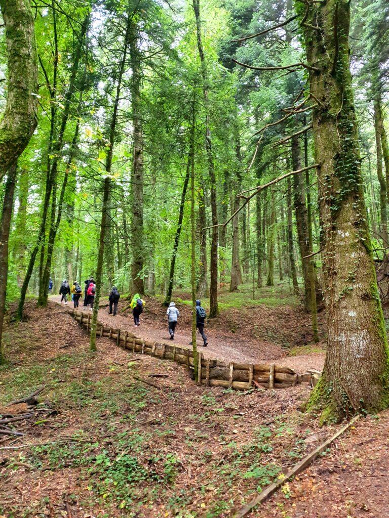 Riserva Naturale di Collemeluccio-Montedimezzo