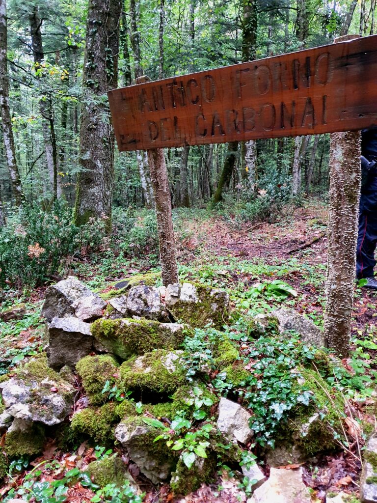 Antico forno dei carbonai della Riserva Naturale di Collemeluccio-Montedimezzo