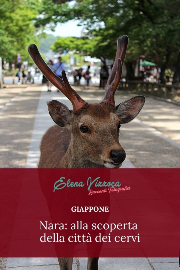Nara - Condividi su Pinterest - Grafica 1