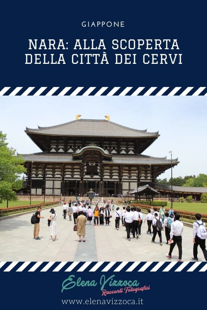 Nara - Condividi su Pinterest - Grafica 1