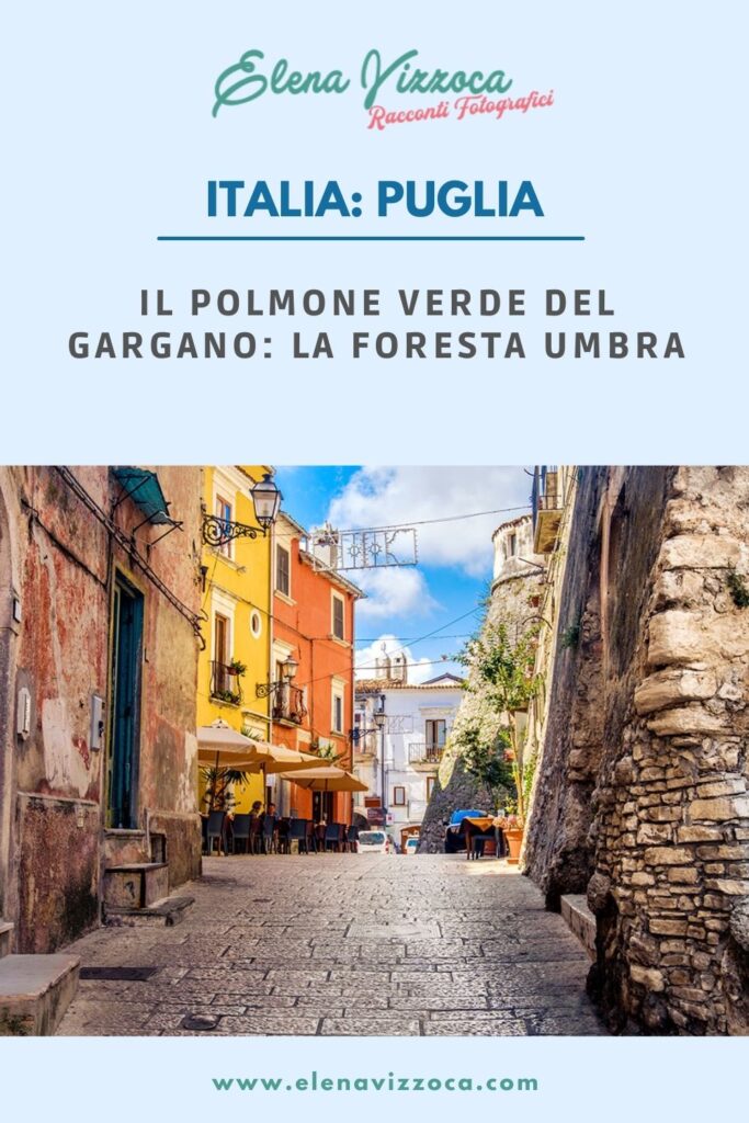 Il polmone verde del Gagano: La Foresta Umbra - Condividi su Pinterest 1