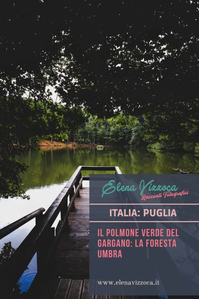 Il polmone verde del Gagano: La Foresta Umbra - Condividi su Pinterest 2