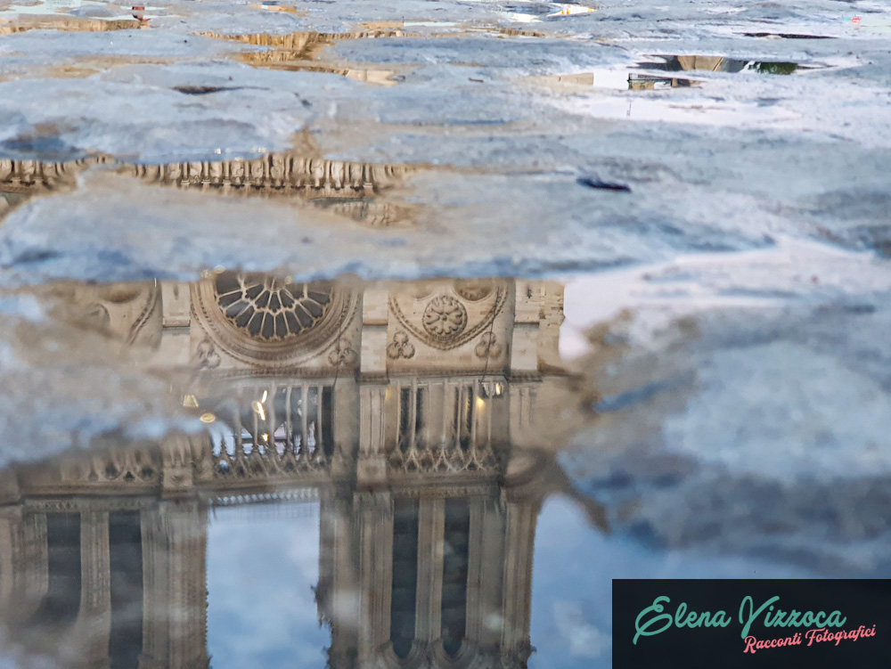 Notre Dame de Paris - Elena Vizzoca