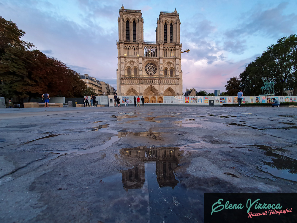Notre Dame de Paris - Elena Vizzoca
