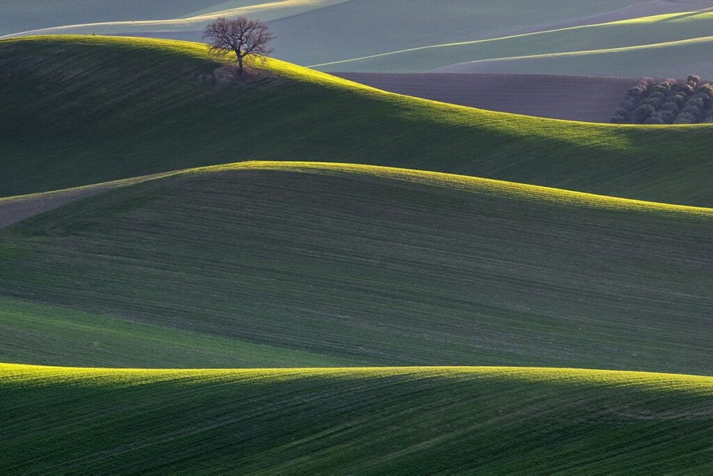 Rotello (Molise) - Copyright © Franco Cappellari