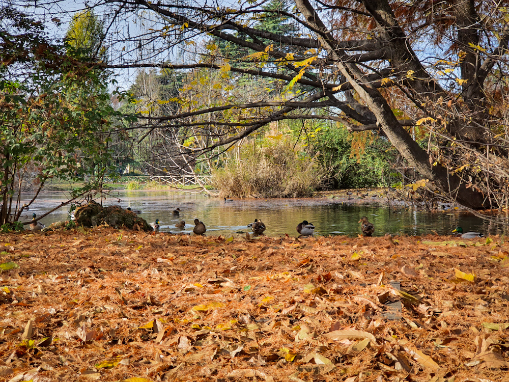 Parco Sempione di Milano