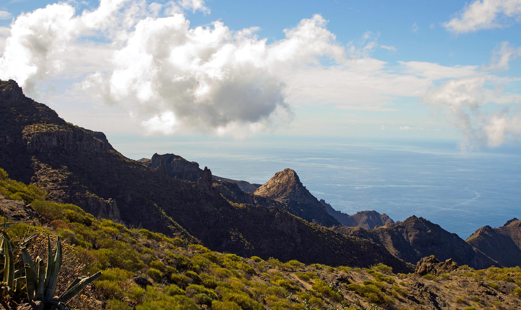 Tenerife, l'isola dell'eterna primavera