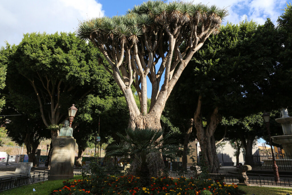 Plaza del Adelantado