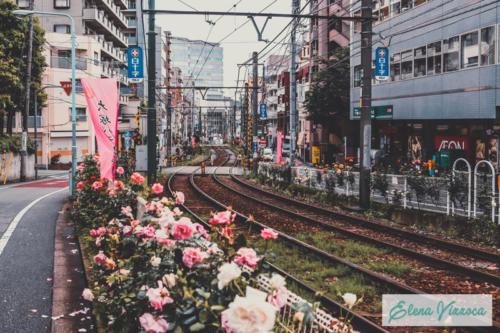Finalmente Tokyo: arrivo a Ikebukuro