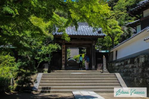 La suggestiva Kamakura