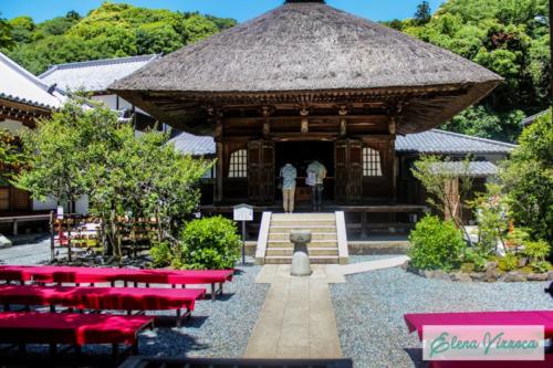 La suggestiva Kamakura
