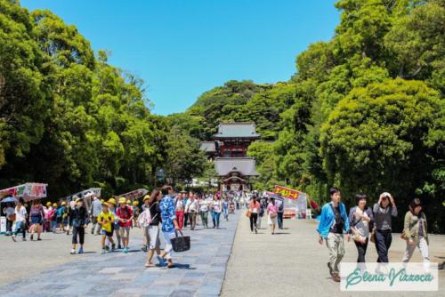 La suggestiva Kamakura