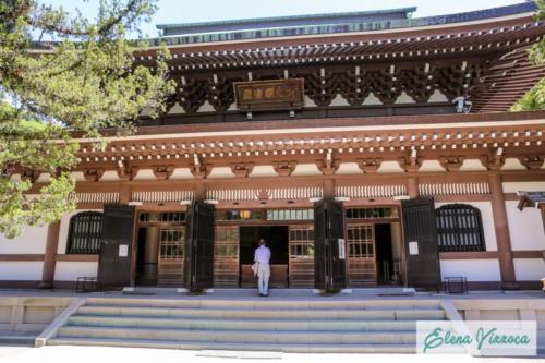 La suggestiva Kamakura