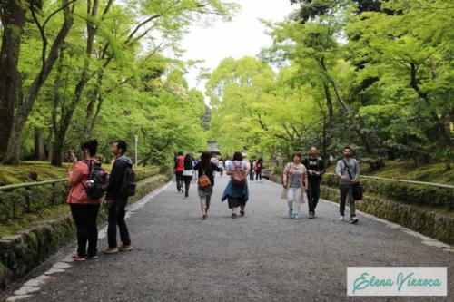 Kyoto: visita al Kinkaku-ji