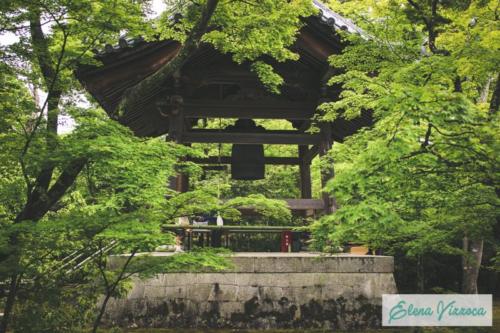 Kyoto: visita al Kinkaku-ji