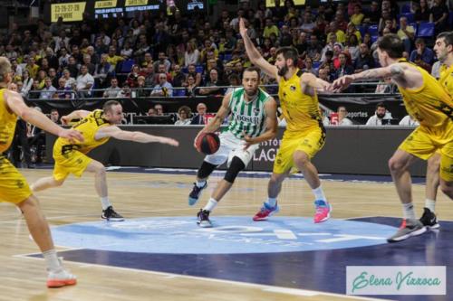 Iberostar Tenerife Vs Coosur Real Betis