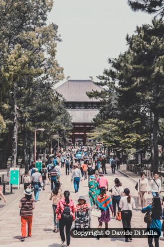 Nara